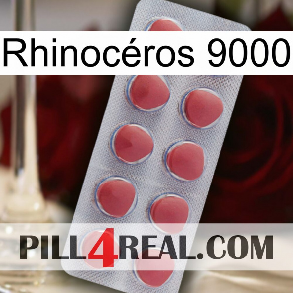 Rhinocéros 9000 18.jpg